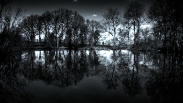 Dark Lake And Trees | Full HD Desktop Wallpapers 1080p