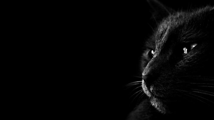 HD Wallpapers Dark