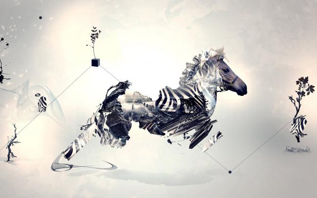 surreal zebras creative 1920x1200 wallpaper High Quality Wallpapers 