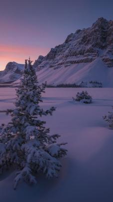 Winter Night Wallpaper 4k - Wallpapers in HD March 2022