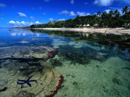 Fiji Wallpapers - Top Free Fiji Backgrounds - WallpaperAccess