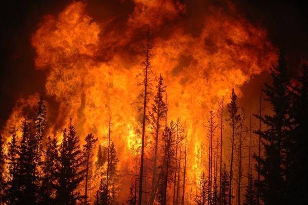 Forest Fire Wallpaper (54+ images)