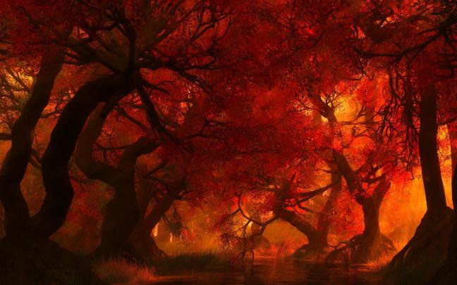 Forest Fire Wallpaper (54+ images)