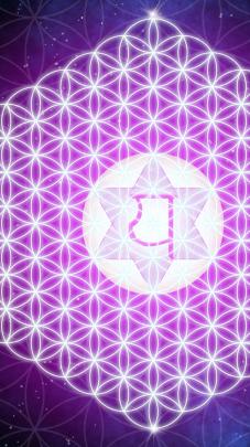 63+ Flower of Life