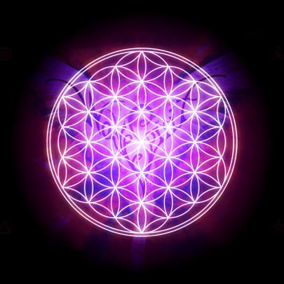 Flower of Life Wallpapers on WallpaperDog