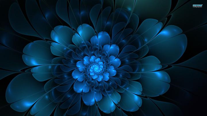 Wallpapers For \u0026gt; Flower Of Life Wallpaper 1920x1080 | Blue flower 