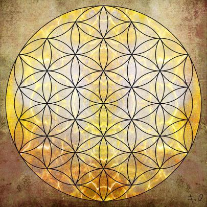 flower of life wallpaper \u306e\u6700\u9ad8\u306e\u30b3\u30ec\u30af\u30b7\u30e7\u30f3 ~ \u30ac\u30fc\u30c8\u30f3