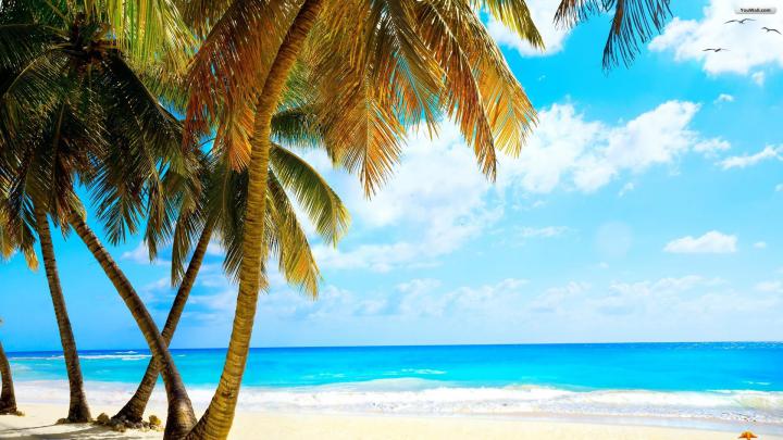 Beach Wallpaper Widescreen High Resolution (60+ images)