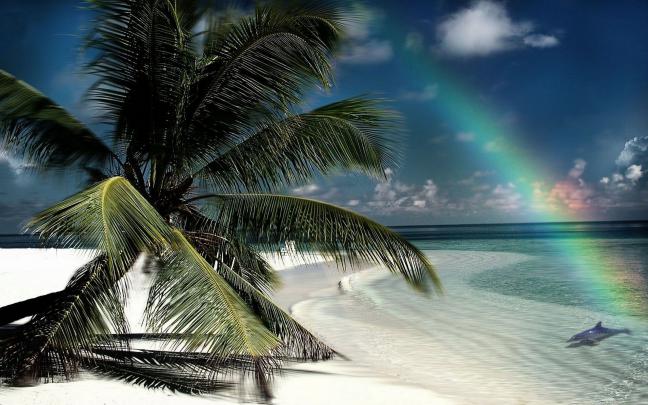 [44+] Hi Res Beach Scenes Wallpaper 