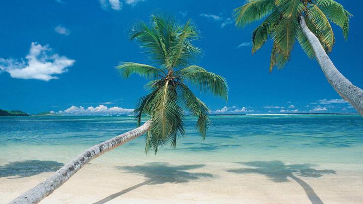 High Resolution Beach Scene Wallpaper -