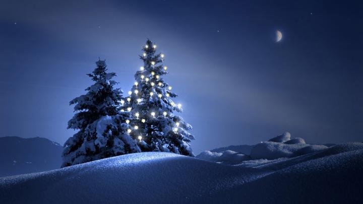 Christmas Tree wallpapers 1920x1080 Full HD (1080p) desktop backgrounds