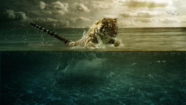 HD Wallpapers 1920x1080 for Desktop (72+ images)