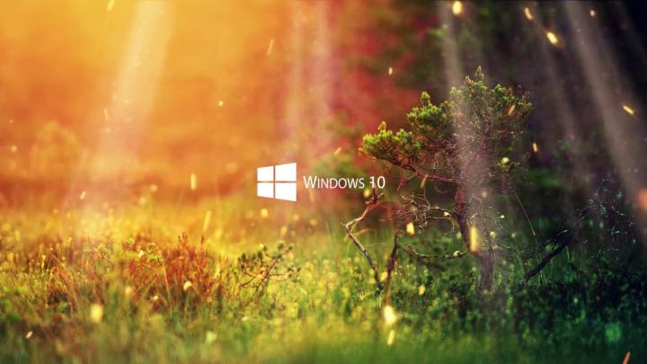 20+ Ultra Hd Windows 10 Wallpaper Hd 1920x1080 Nature - Basty Wallpaper
