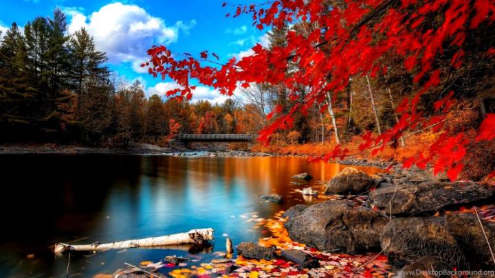 Full Screen Desktop Wallpapers - Top Free Full Screen Desktop 