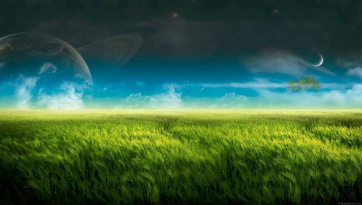 1900 x 1080 HD Wallpaper -