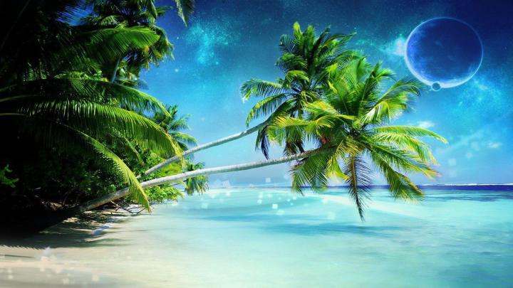 Cool Tree Backgrounds (82+ images)