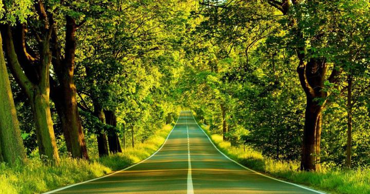 lort enhed Forbavselse hd wallpapers nature 1920x1080 free download 
