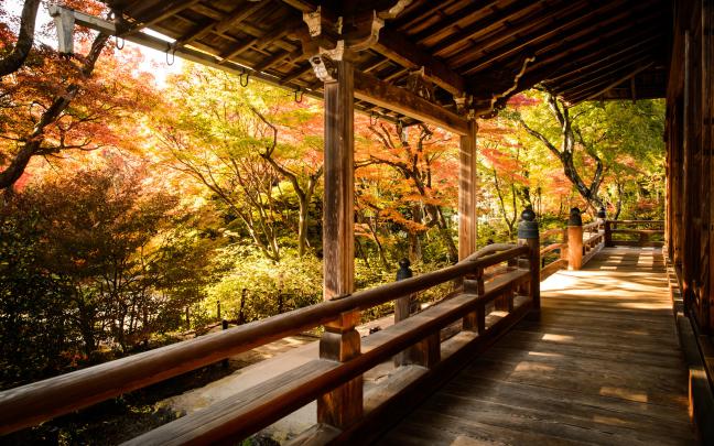 Kyoto Wallpaper (60+ pictures)
