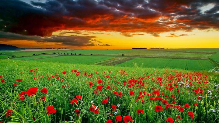 1360 X 768 HD Wallpapers (71+ images)