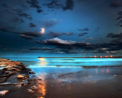 Free download Pictures Of The Beach At Night Widescreen HD Wallpapers 