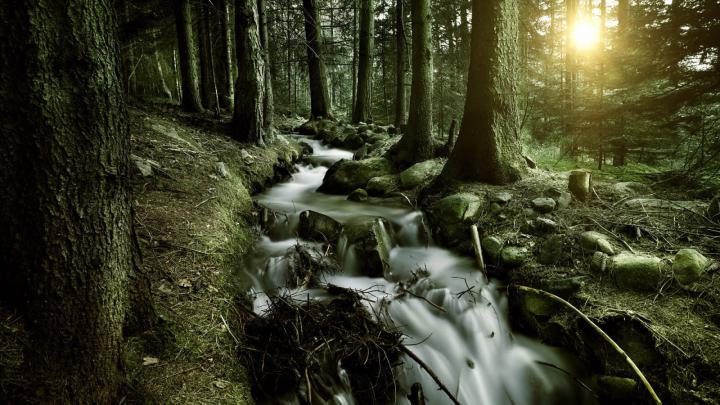 Free download Waterfall HD Wallpaper 1920x1080 Wallpapers 1920x1080 