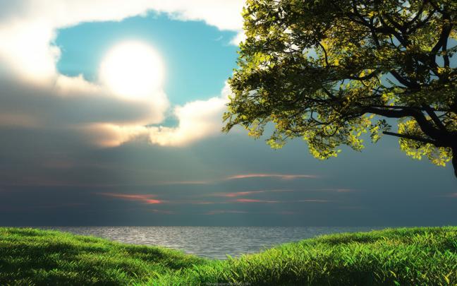 Free download HD Wallpapers 1080p 1920x1080 Full HD Wallpapers 