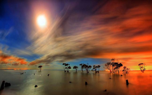 Free download Wallpaper HD 1080p Download Wallpapers [1920x1080] for 
