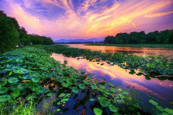 landscape, Lotus Flowers Wallpapers HD \/ Desktop and Mobile Backgrounds