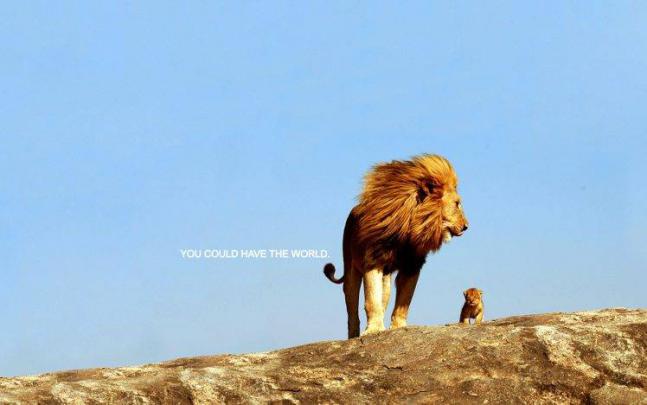 quote, Inspirational, Lion Wallpapers HD \/ Desktop and Mobile Backgrounds