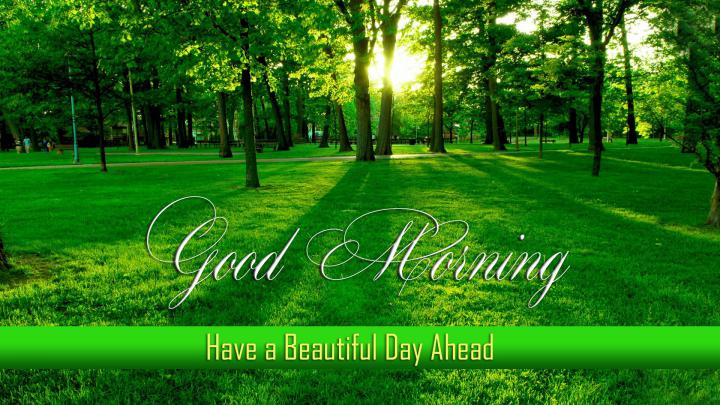 good, Morning, Greetings, Motivational, Mood Wallpapers HD \/ Desktop 