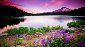 Free Full Hd Desktop Wallpaper 1920x1080