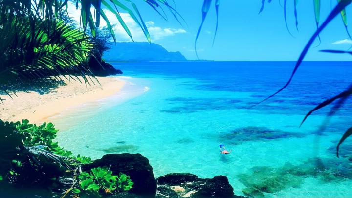 Summer Wallpapers Free Download