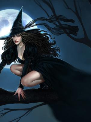 Free download Sexy Halloween Witch Wallpaper 37595 [1280x1024] for your 