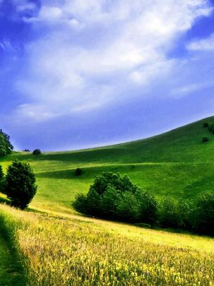 iPad Wallpaper HD - 481