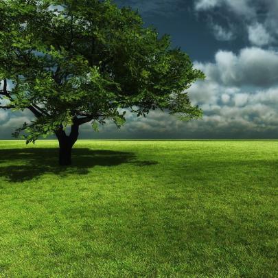 25 Spring iPad Wallpapers