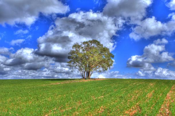 [44+] Israel Wallpaper Landscapes 