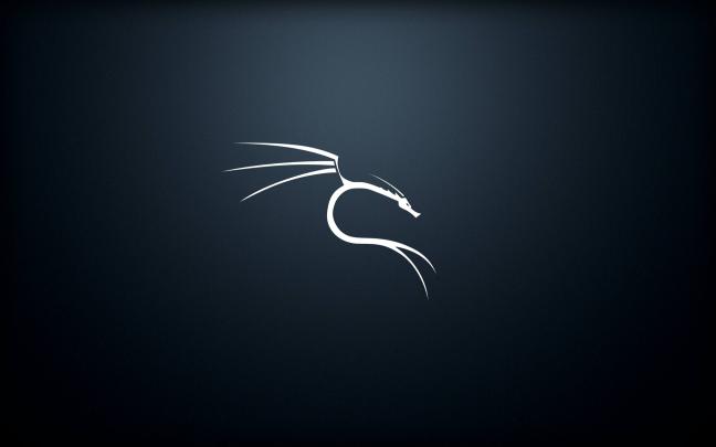 Wallpaper Kali Linux For Smartphone \/ How to install Linux Kernel 