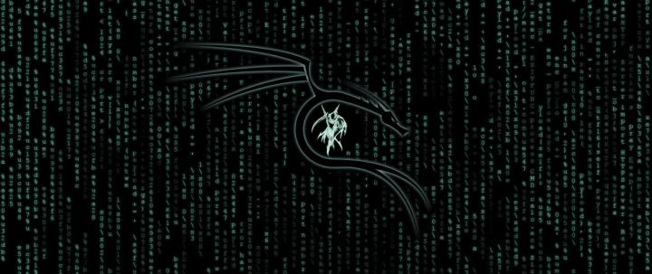 2560x1080 Kali Linux Matrix 2560x1080 Resolution Wallpaper, HD Hi-Tech 