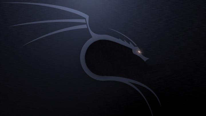 10 Latest Kali Linux Hd Wallpaper FULL HD 1080p For PC Desktop 2020