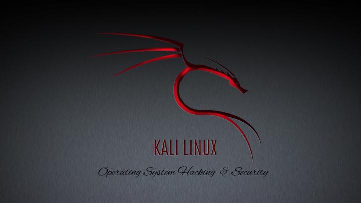 Kali Linux Desktop Wallpaper -