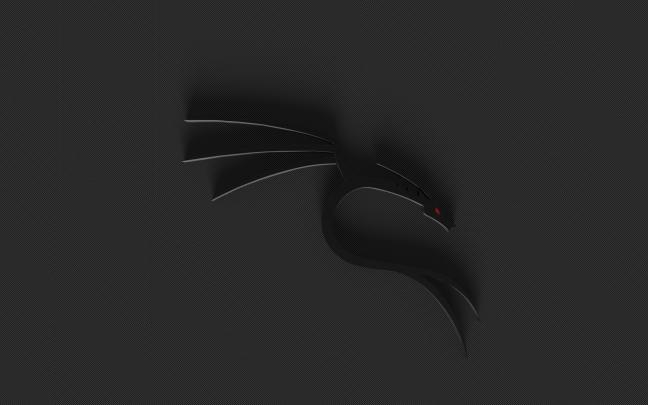Kali Linux Desktop Wallpaper (72+ images)