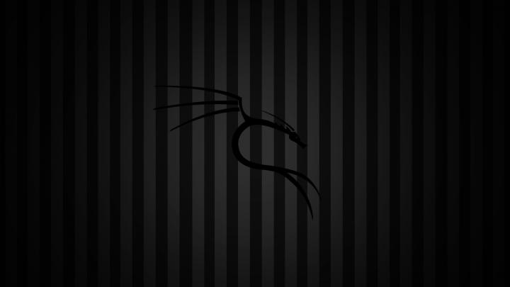 Kali Linux Desktop Wallpaper (72+ images)