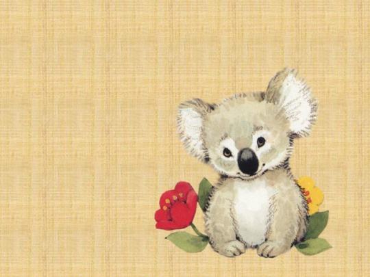 Cute Koala Wallpaper -