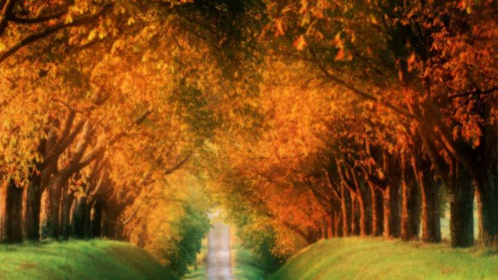 Autumn Wallpapers For Desktop