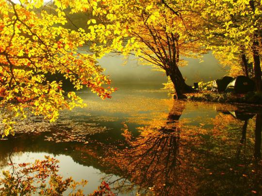 Large Fall Screensavers and Wallpaper -