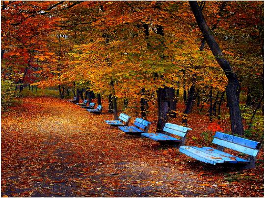 [46+] Large Fall Screensavers and Wallpaper 