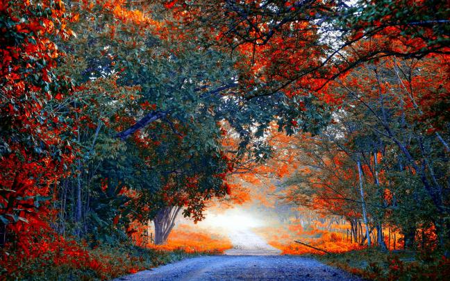 Early Fall Desktop Wallpapers (43+ images)