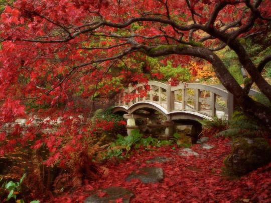 Fall Screen Backgrounds