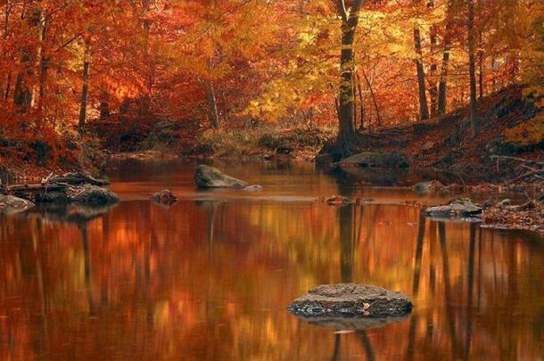Autumn Screen Wallpapers