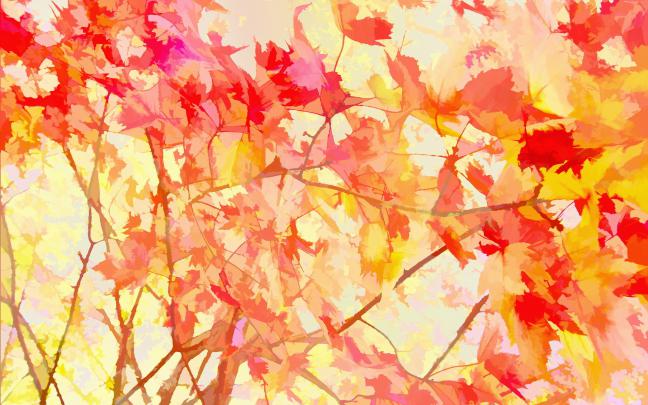 Cool Fall Backgrounds (69+ images)